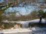 Snow scenes