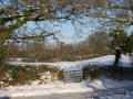 A winter scene