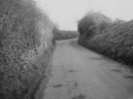 Ford Street 3d