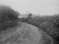 Ford Street 4a