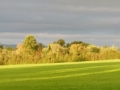 Panorama1
