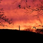 sunset over Wellington Monument