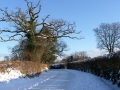 Beautiful snow scene